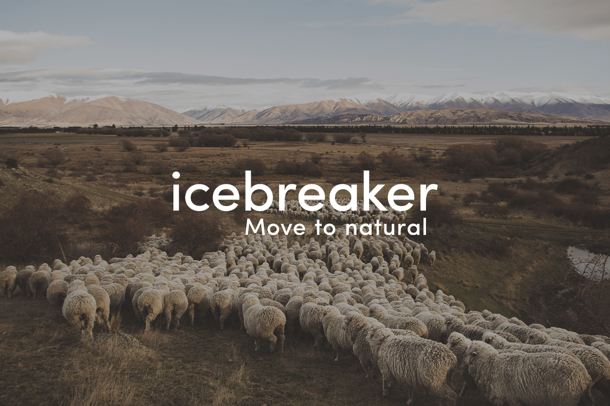 icebreaker